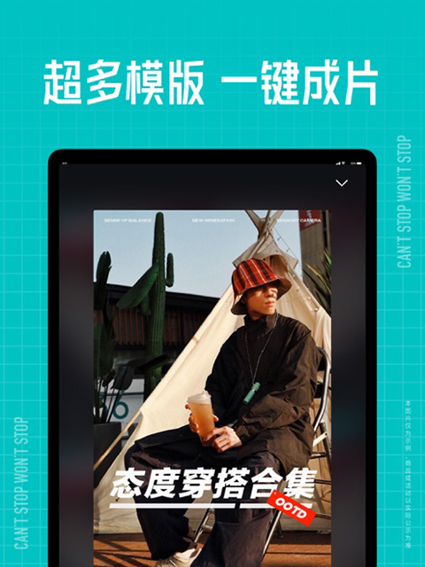 孔雀开屏接住柴犬项圈震落的樱花雨壁纸